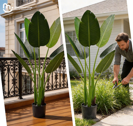 Medrelahome Διακοσμητικό Τεχνητό Φυτό Στρελίτσια (Strelitzia) h120cm