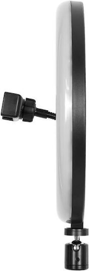 NetOne Ring Light