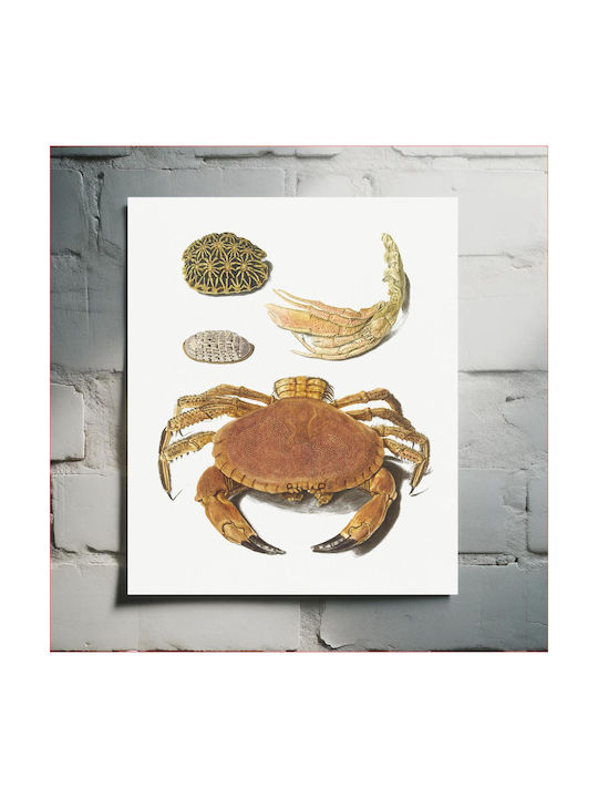 A Crab, A Pair Of Crab Claws And Two Turtle Shells By Johann Gustav Hoch (1716–1779) Gemälde auf Leinwand 40x65cm