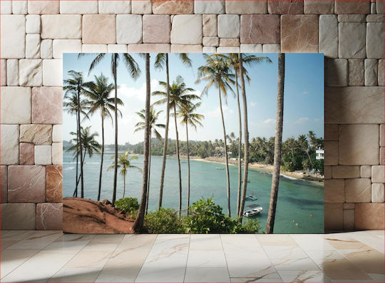 Palm Trees By The Sea Φοίνικες Δίπλα Στη Θάλασσα 1