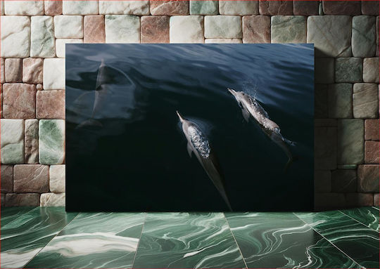 Πίνακας Dolphins Swimming In Sea Δελφίνια Κολυμπούν Στη Θάλασσα 170x115 Πίνακας Dolphins Swimming In Sea Δελφίνια Κολυμπούν Στη Θάλασσα 170x115