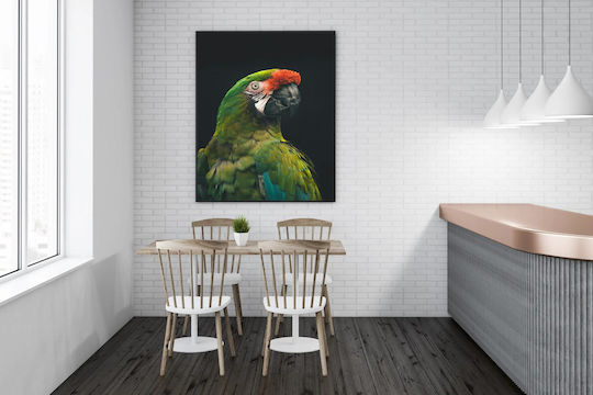 Colorful Parrot Painting 70x100