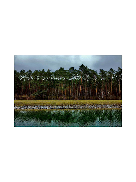 Πίνακας Forest Reflections Δασικές Αντανακλάσεις 170x115