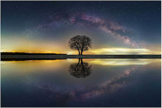 Панел Tree Reflection Под Звезден Небе Отражение На Дърво 100x70