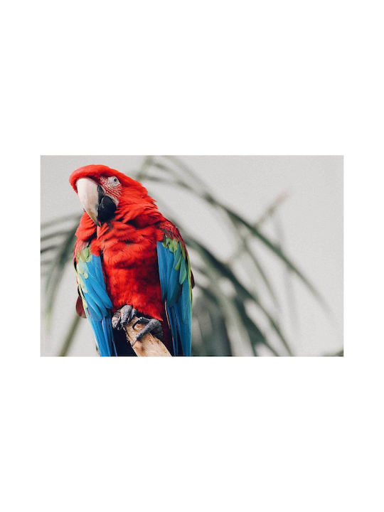 Панел Colorful Parrot On A Branch Многоцветен Папагал На Клон 100x70