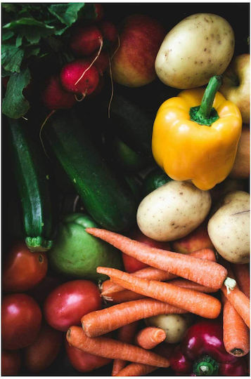 Painting Colorful Fresh Vegetables Multicolored Fresh Vegetables 70x100