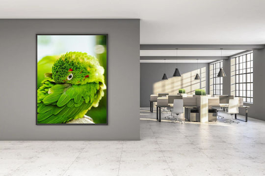 Πίνακας Colorful Parrot Close-up Πολύχρωμο Παπαγάλος Κινηματογράφηση Πρώτο Πλάνο 80x120