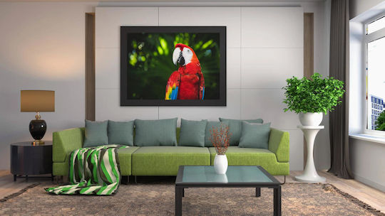 Панел Colorful Parrot In Nature Многоцветен Папагал В Природата 150x100