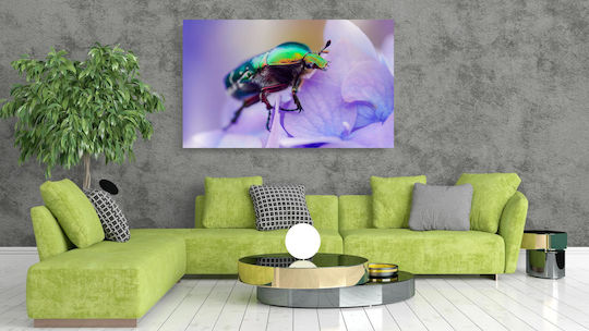 Πίνακας Colorful Beetle On Flower Πολύχρωμο Σκαθάρι Στο Λουλούδι 100x70