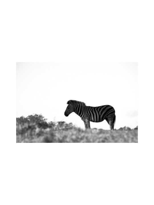 Панел Zebra In Wild Zebra In Wild 150x100