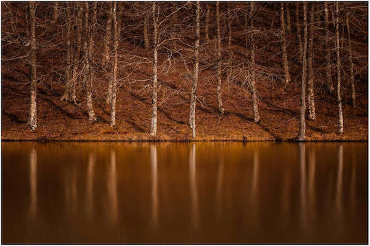 Панел Reflection Trees By Lake Отражение На Дървета До Езеро 100x70