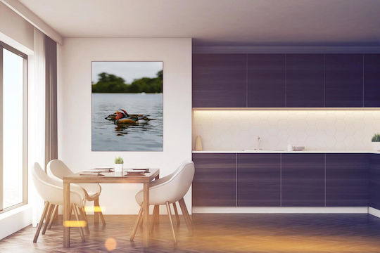 Panou Colorful Ducks On A Lake Polihrome Rațe Un Lac 70x100