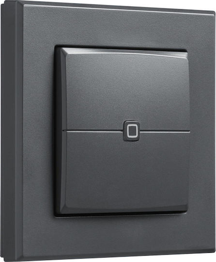 HomeMatic Vertiefter Doppel-Wandtaster mit Grau Rahmen