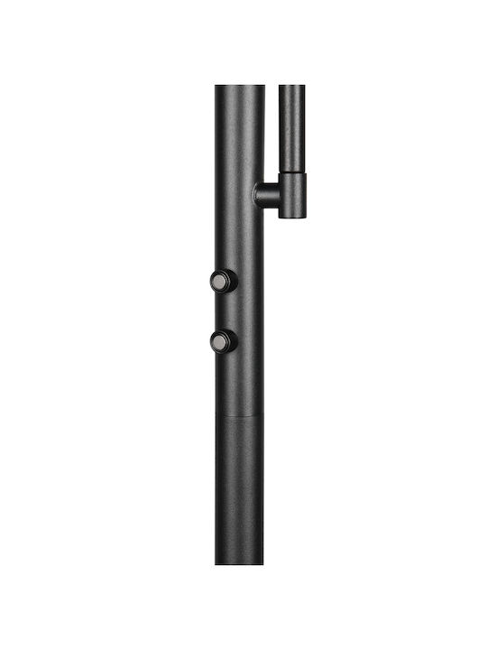 Trio Lighting LED Floor Lamp H183xL28cm Black