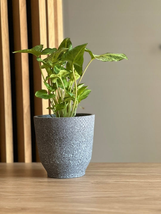 Polnix Vintage Planter Ceramic Black 14x14x14cm.
