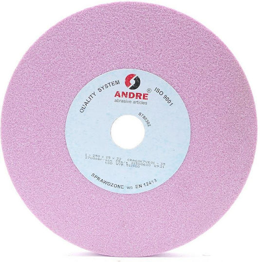 ANDRE abrasive articles Δίσκος Λείανσης 250mm