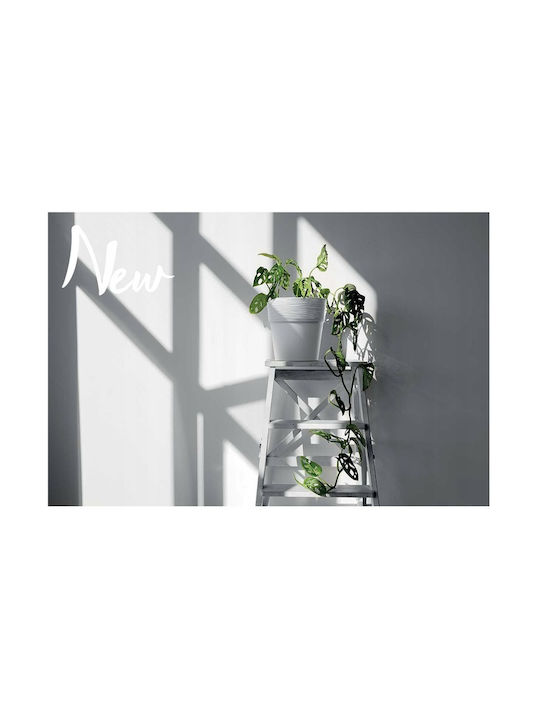 Marhome Furu Pot Plastic 12x12x12.2cm.