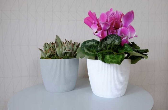 Lamela Pot Plastic White Lamela Pot Plastic White