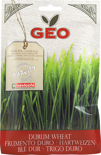 Geo Bavicchi Semințe Muștar Cultivare ecologică 80gr