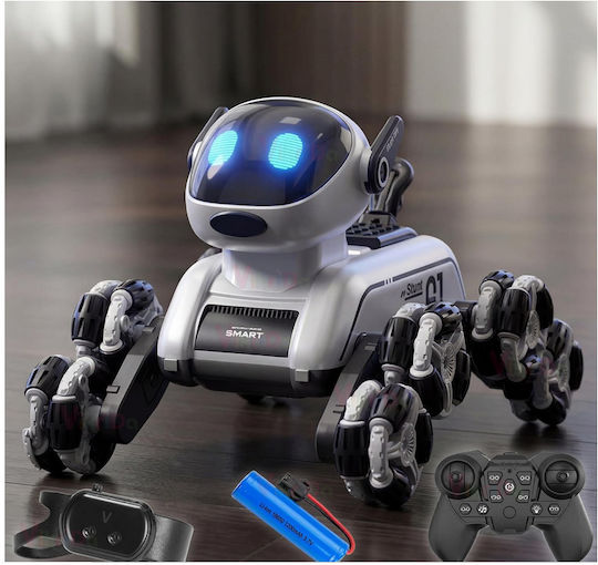 360° RC Robot