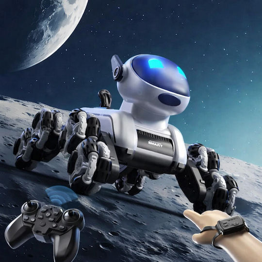 360° RC Robot