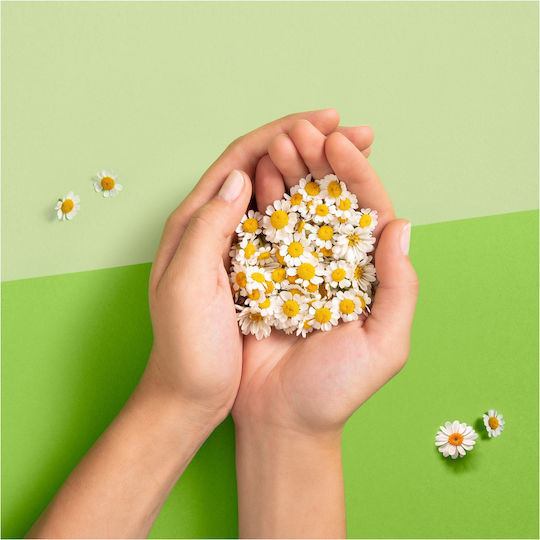 Naturella Naturella Hygienepads mit Flügeln 8 Stück