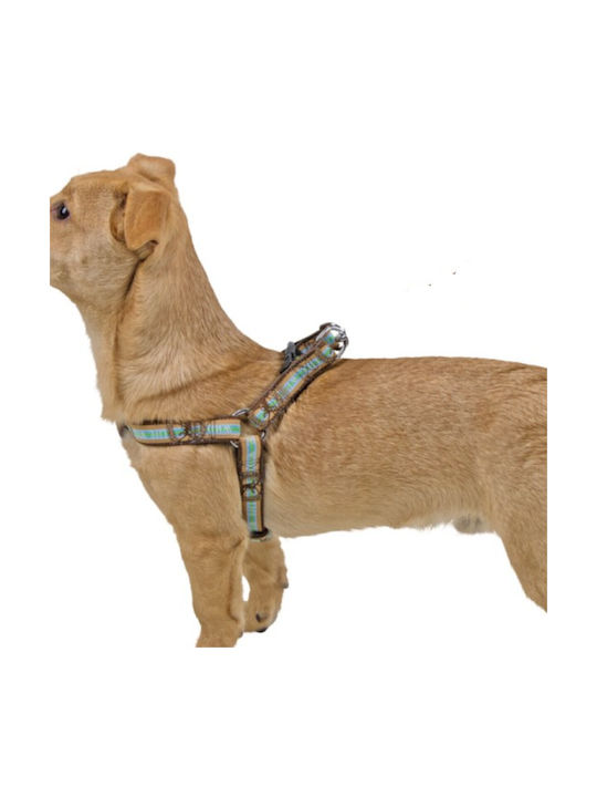 Kerbl Wild Life Dog Collar Brown Turquoise 40-55cm 20mm