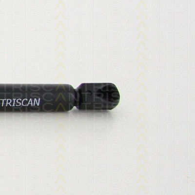 Triscan 8710 38235 Trunk Shock Absorber