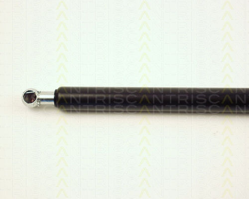 Triscan 8710 16215 Trunk Shock Absorber