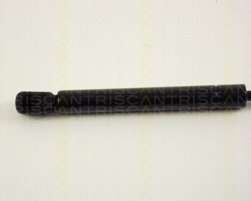 Triscan 8710 29241 Amortizor Portbagaj
