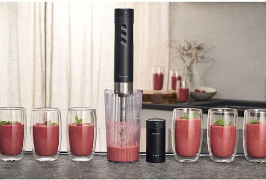 Zwilling J.A. Henckels Ραβδομπλέντερ με Ανοξείδωτη Ράβδο 250W Μαύρο