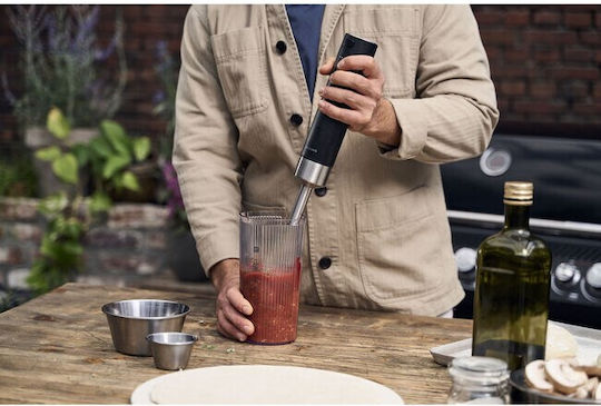 Zwilling J.A. Henckels Ραβδομπλέντερ με Ανοξείδωτη Ράβδο 250W Μαύρο