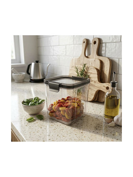 AGC Lunch Box Plastic Transparent 10x10cm