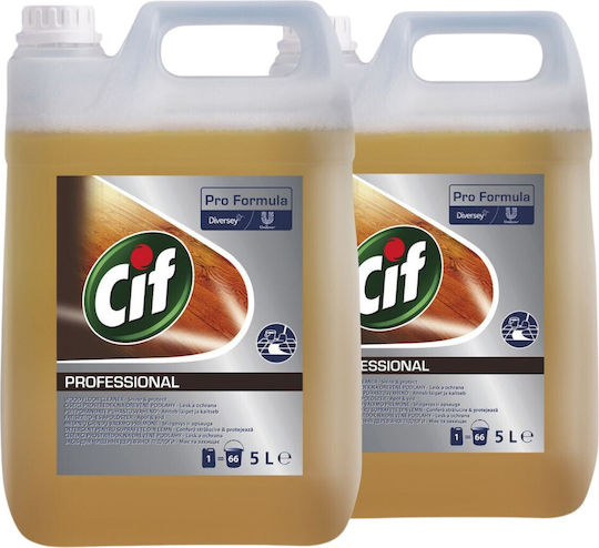 Alista Home Detergent Lichid Profesional pentru Podea cu Acțiune Dezinfectantă 25l
