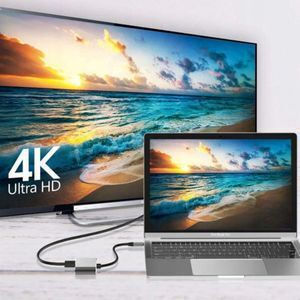 USB-C Dockingstation mit HDMI 4K PowerDelivery (PD) und Bildschirmverbindungen 2 Monitore Grau