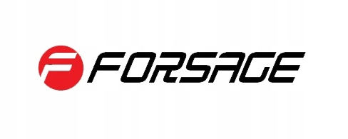 Torx E4 1/4'' Cr-v Bit