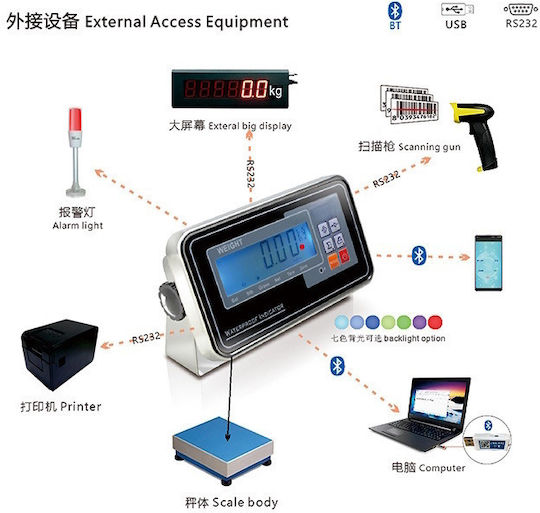 TE Tameiaki Express Electronic Commercial Scale with Weighing Capacity 30kg and Accuracy 1gr