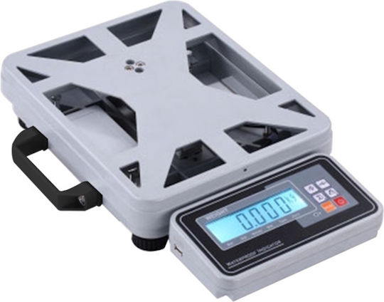 TE Tameiaki Express Electronic Commercial Scale with Weighing Capacity 30kg and Accuracy 1gr