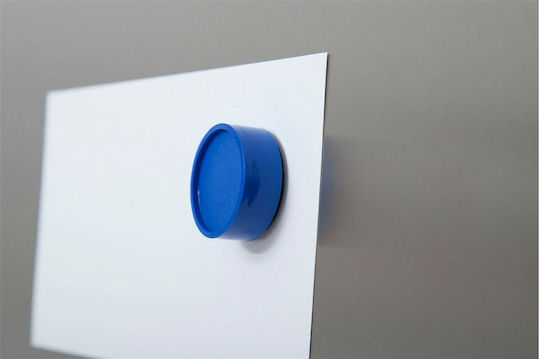 Maul Set Round Magnets with Traction Force 0.6kg Diameter 29mm 10pcs