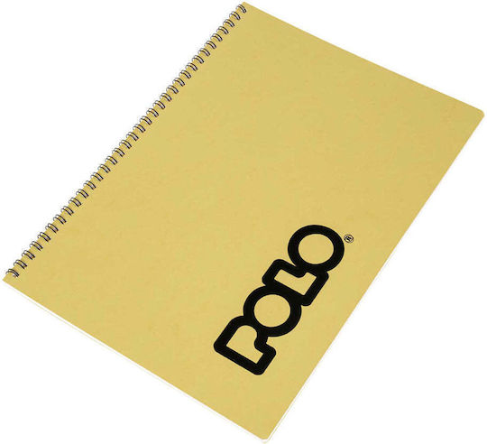 Polo Σπιράλ Τετράδιο Ριγέ Β5 40 Φύλλων 3 Θεμάτων Note