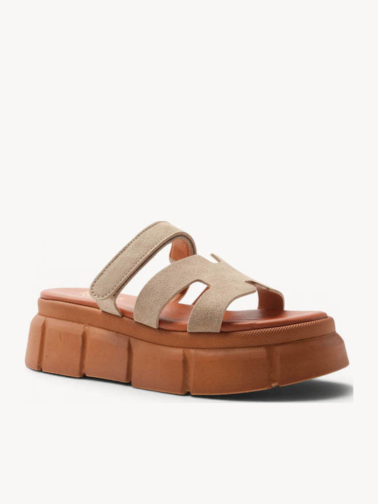 Ligglo V263
