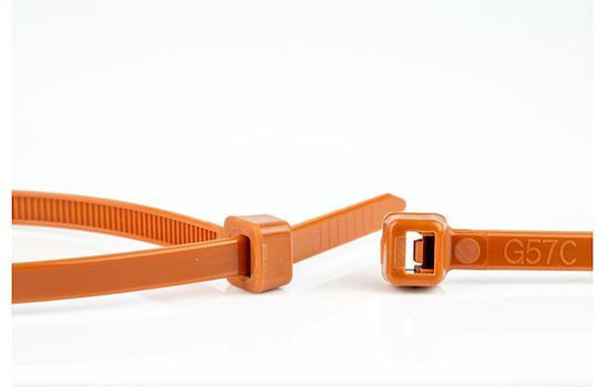 WKK Plastic Cable Ties In Brown Colour 100 Pieces 110194171