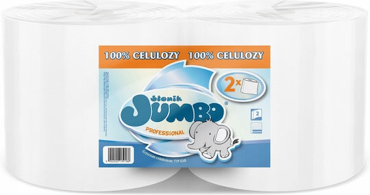 Jumbo Küchenpapier 2 Verpackungsrollen 2 Lagen
