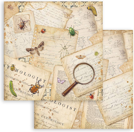 Χαρτιά Scrapbooking 10τεμ 30.5×30.5cm Stamperia All Around
