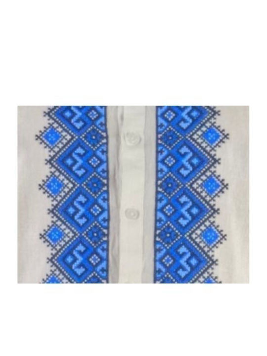 Herrenblusen Langarm Weiß/Blau