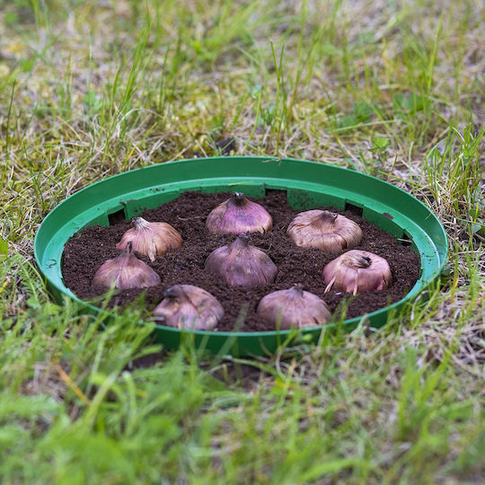 Form Plastic Πιάτο Γλάστρας Πλαστικό Grass Green 23x23εκ.