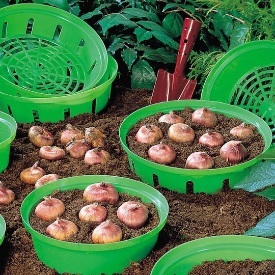 Form Plastic Πιάτο Γλάστρας Πλαστικό Grass Green 23x23εκ.