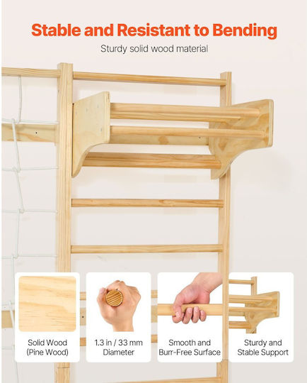 Vevor Slide with Climbing Surface