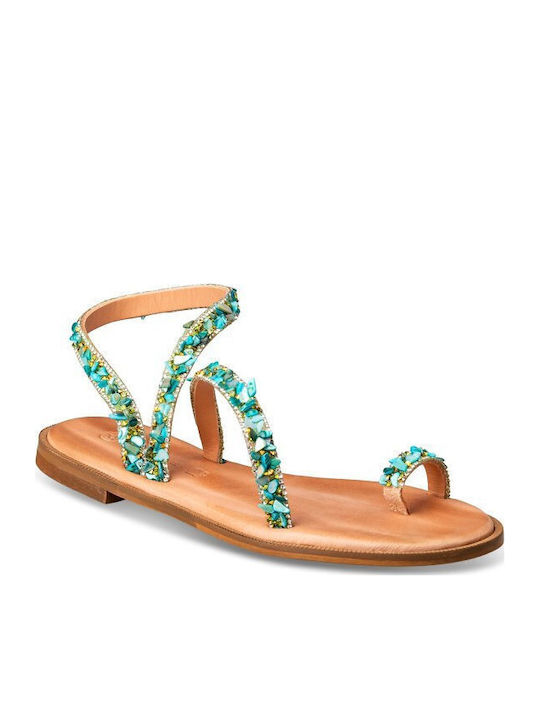 Envie Shoes