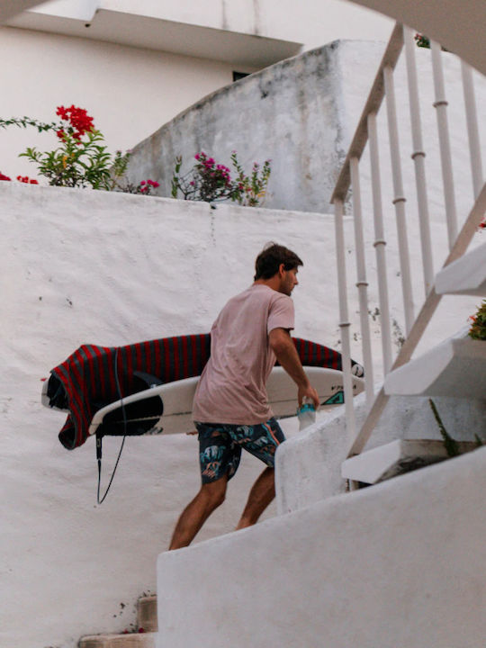 Vissla
